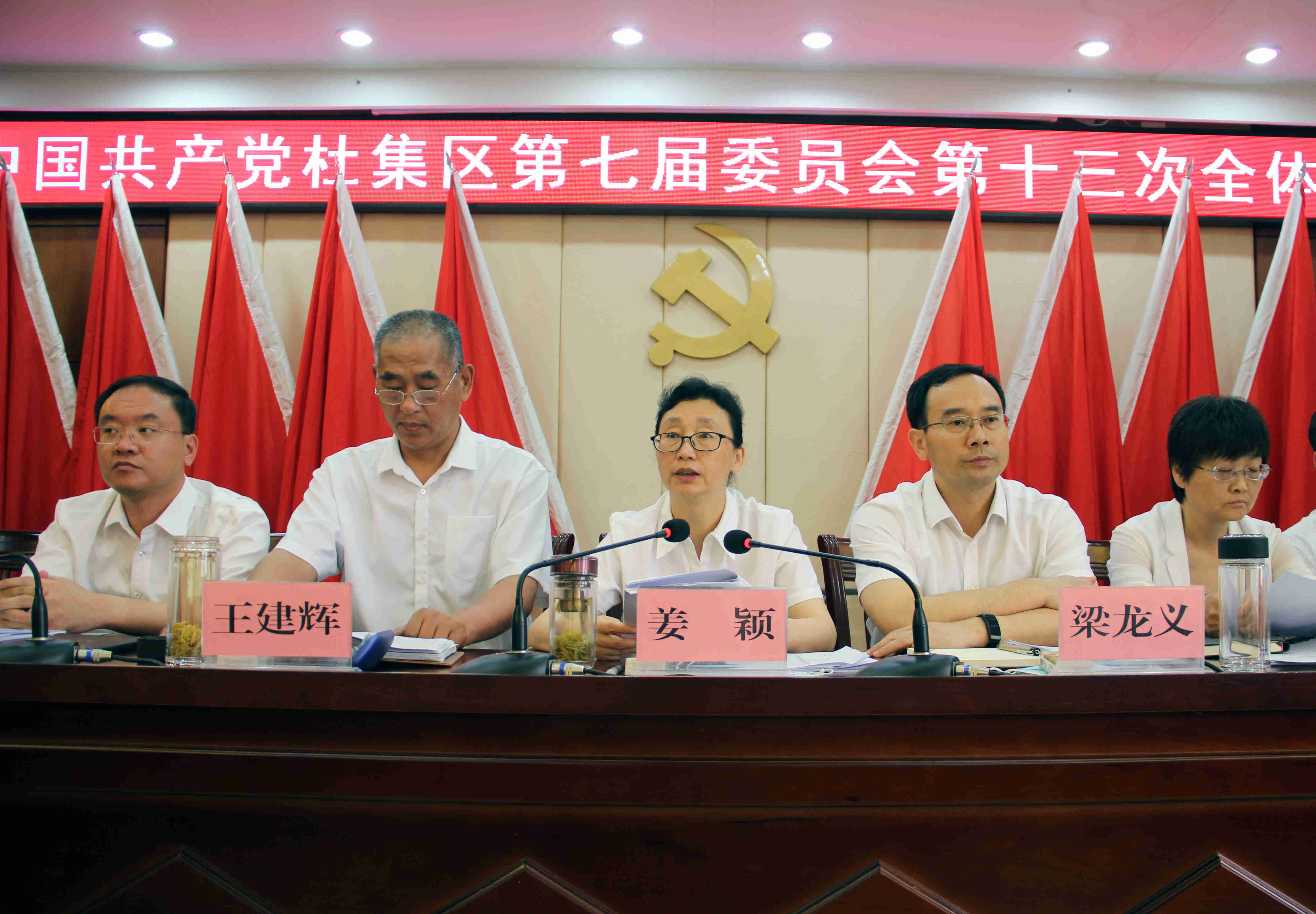 淮北杜集区委七届十三次全体会议召开