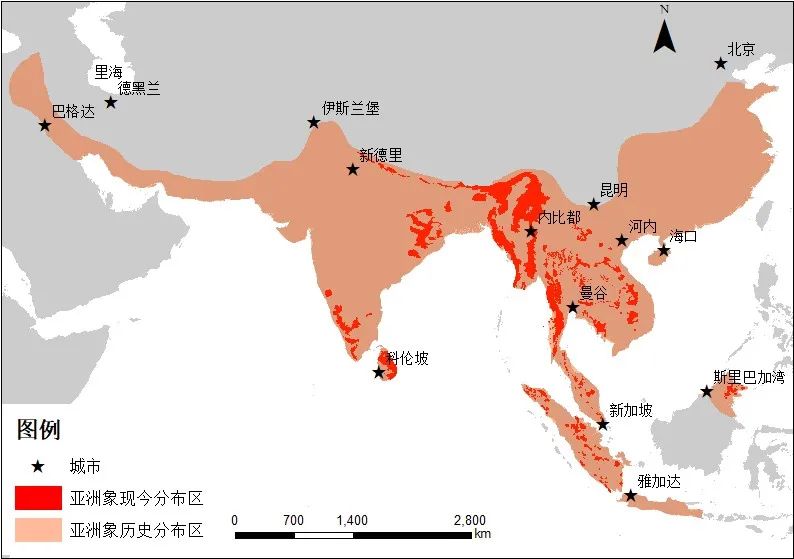 现生亚洲象及其地史分布图(图片来源:维基网基础上,由王浩瀚绘制)