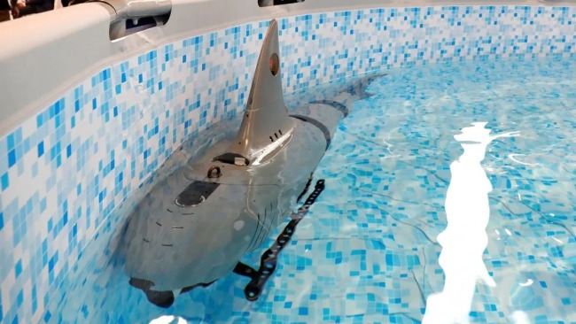 美媒关注中国"机器鲨鱼" 不忘强调美国拥有"秘密武器"