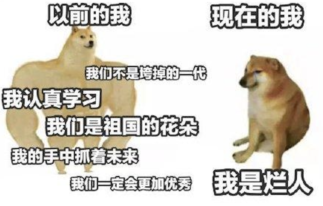 但要说到柴犬 cheems ,知道的人可能就没那么多了.