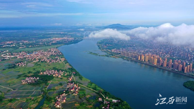 7月20日清晨,江西省吉安市泰和县上空出现平流云,空中俯瞰,犹如仙境.