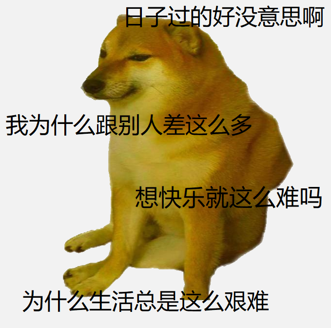 这个一直给doge当配角的狗子正在成为下一代doge