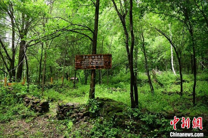 长白山景区 游览步道