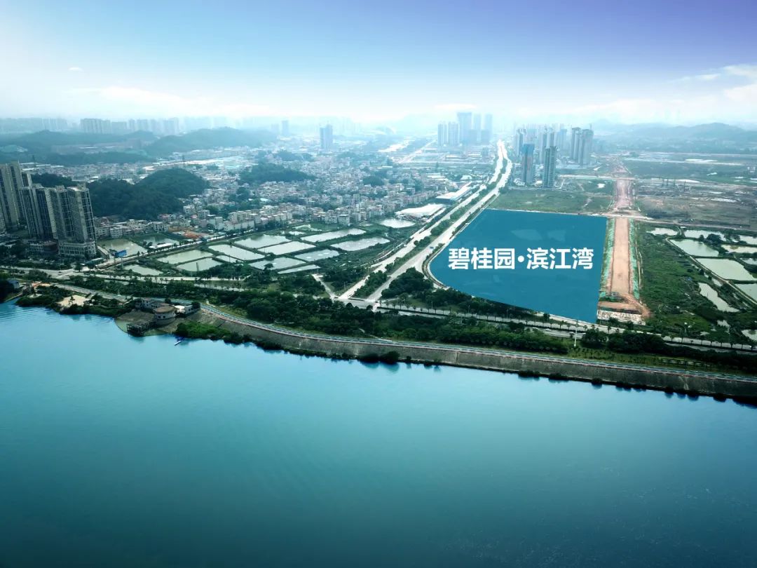 江门碧桂园滨江湾曝光自带江景光环霸屏朋友圈