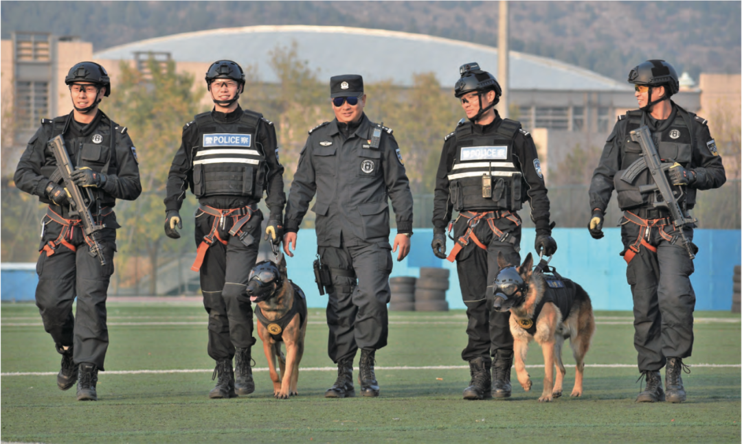 被淘汰的警犬 谁来照料它们未来的生活?