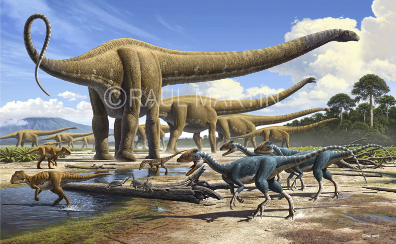 中国最大的恐龙来自新疆长35米重80吨