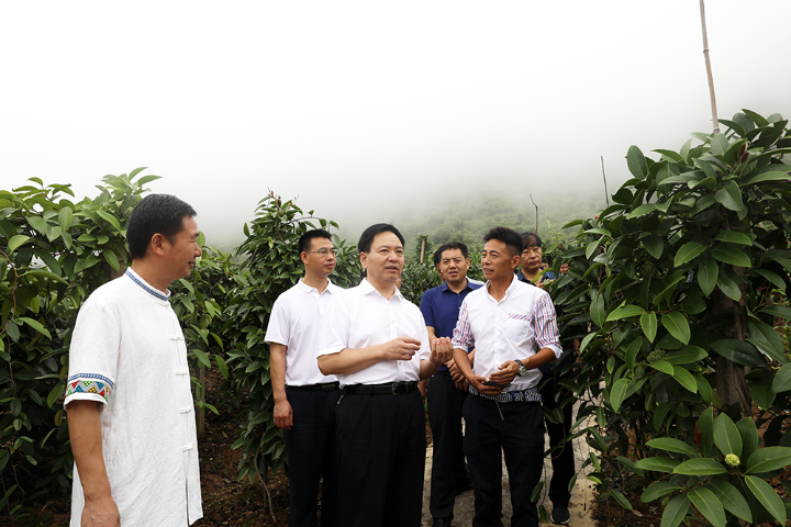 彭水书记钱建超到润溪乡调研督导加快推进现代山地特色高效农业发展