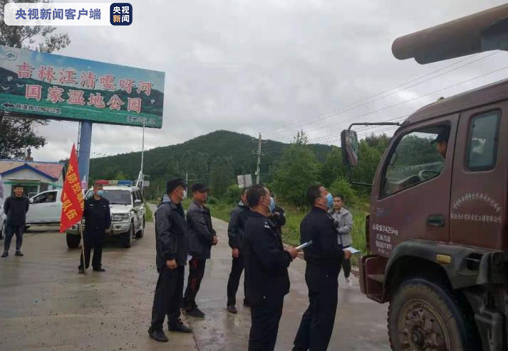 东北虎完达山一号又下山了