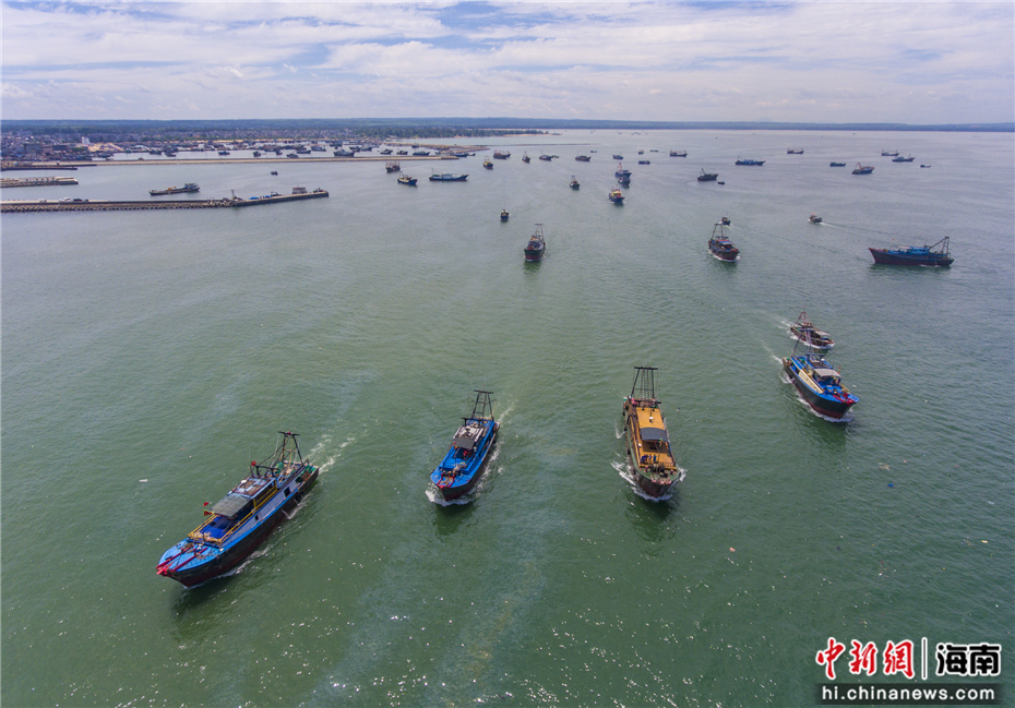 图为航拍海南临高新盈港,约1200艘渔船驶向大海作业.骆云飞摄