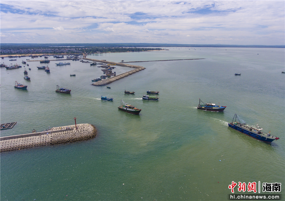 图为航拍海南临高新盈港,渔船有序驶出港口.骆云飞摄