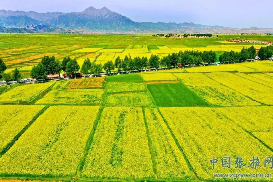 金张掖" 美丽的余光洒落在河面上 波光粼粼 十分美丽 一幅诗情画意的