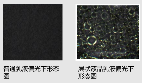 财经>港股>综合资讯>正文> 生物体的细胞膜和细胞核都是溶致液晶组成