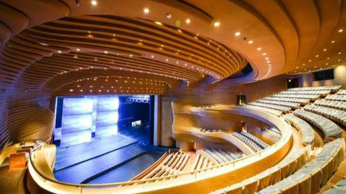 国家大剧院内部的设施搭建,是关乎剧院艺术效果的重中