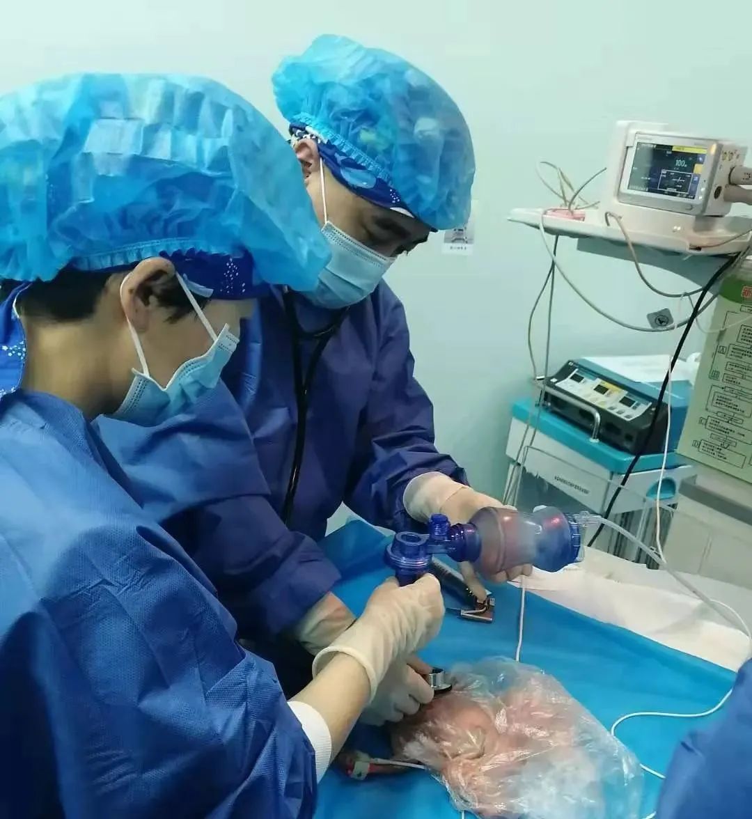 新生儿科主任张磊为"巴掌宝宝"进行气管插管并注入猪肺磷脂注射液