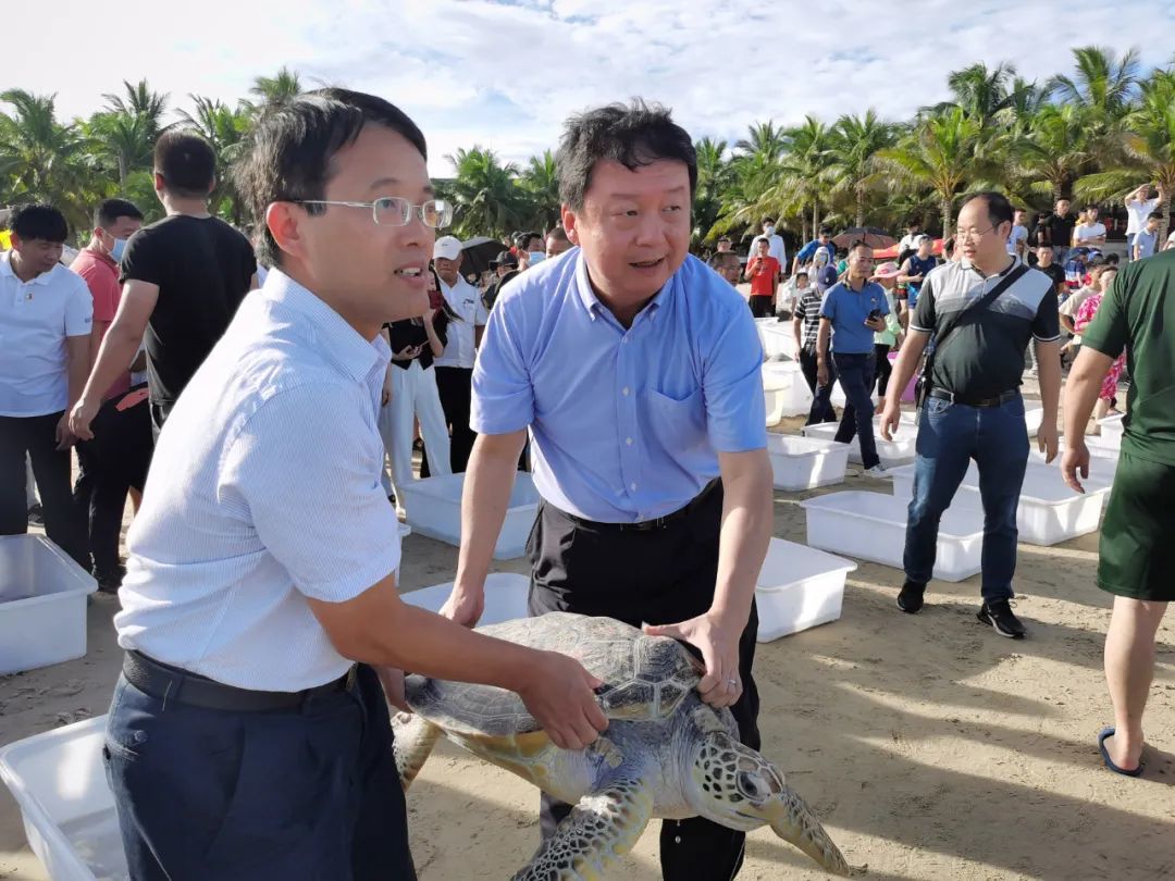 "保护海龟 共建美好家园"主题活动在文昌市龙楼镇举行 共放生68只海龟