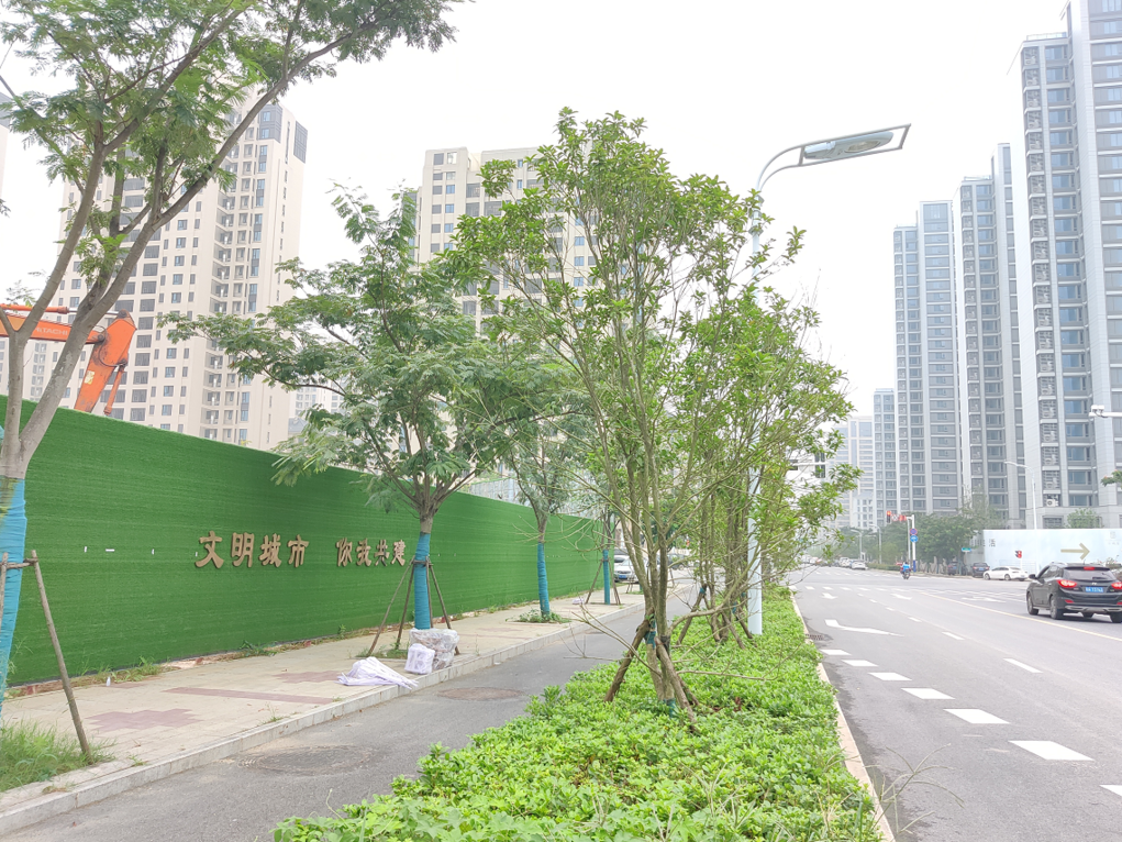 测评实探联发滨语听湖这个工程进度何时上市成迷