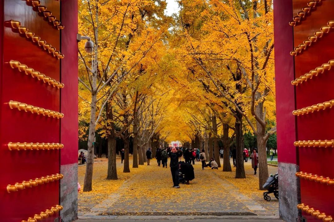 该怎么定义北京的秋天呢?