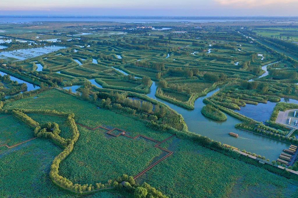 赏秋去处 洪泽湖湿地景区免门票延长至9月30日