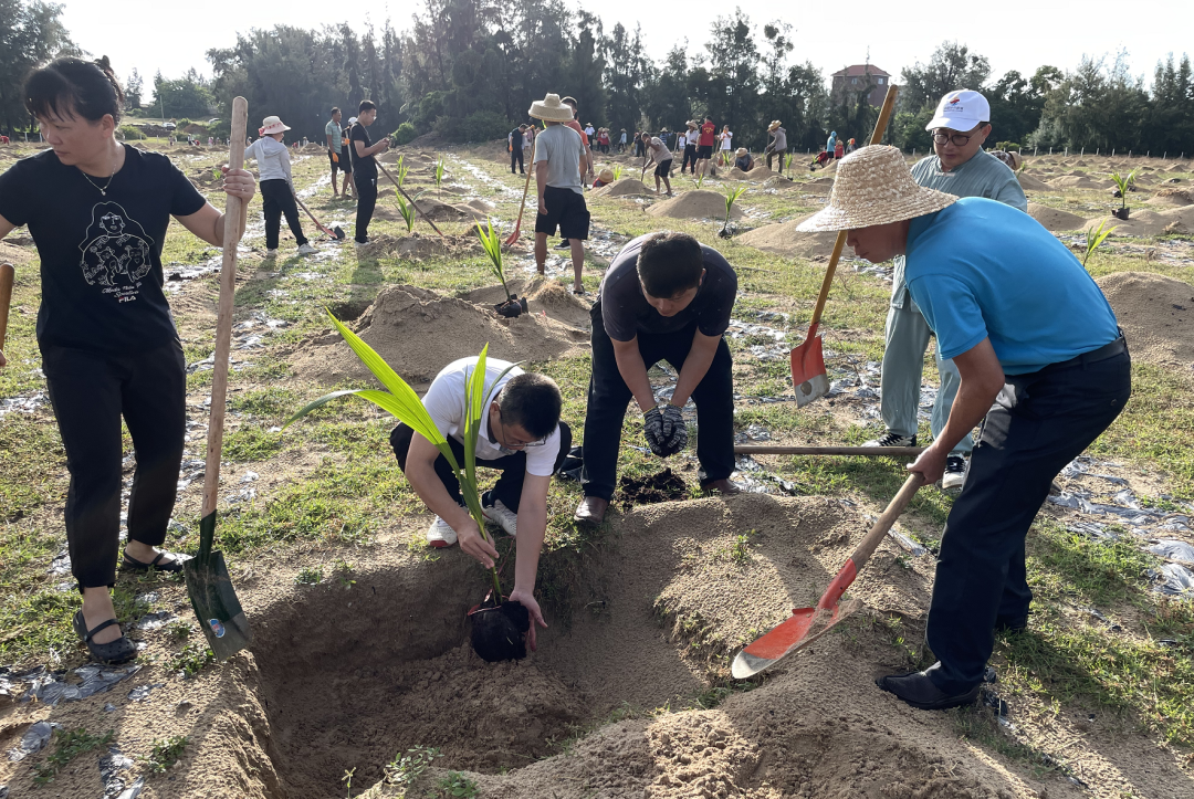 万宁和乐镇英豪村党员干部群众中秋节开展植树活动贺敬平参加