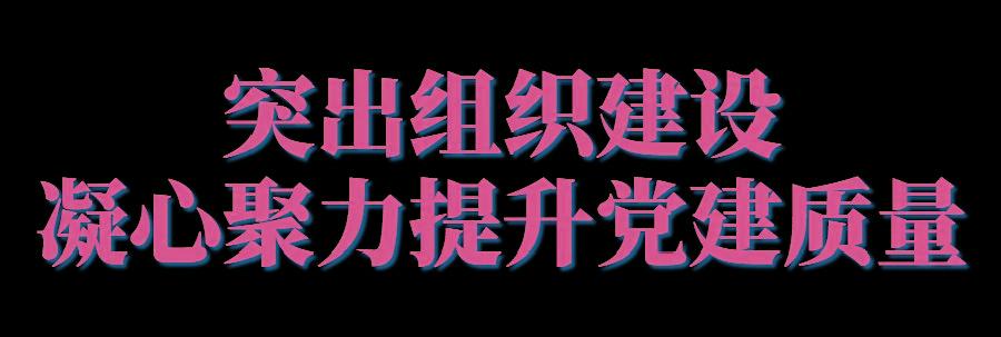 发挥机关党建引领保障作用推动商务经济持续争先进位