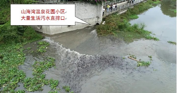 图2:山海湾温泉花园小区(一,二,五期)生活污水直排鸭母沟.