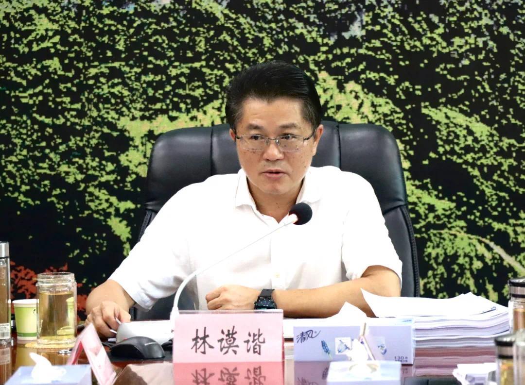 昌江县委副书记,县长林谟谐:持续发力 开创全县未成年