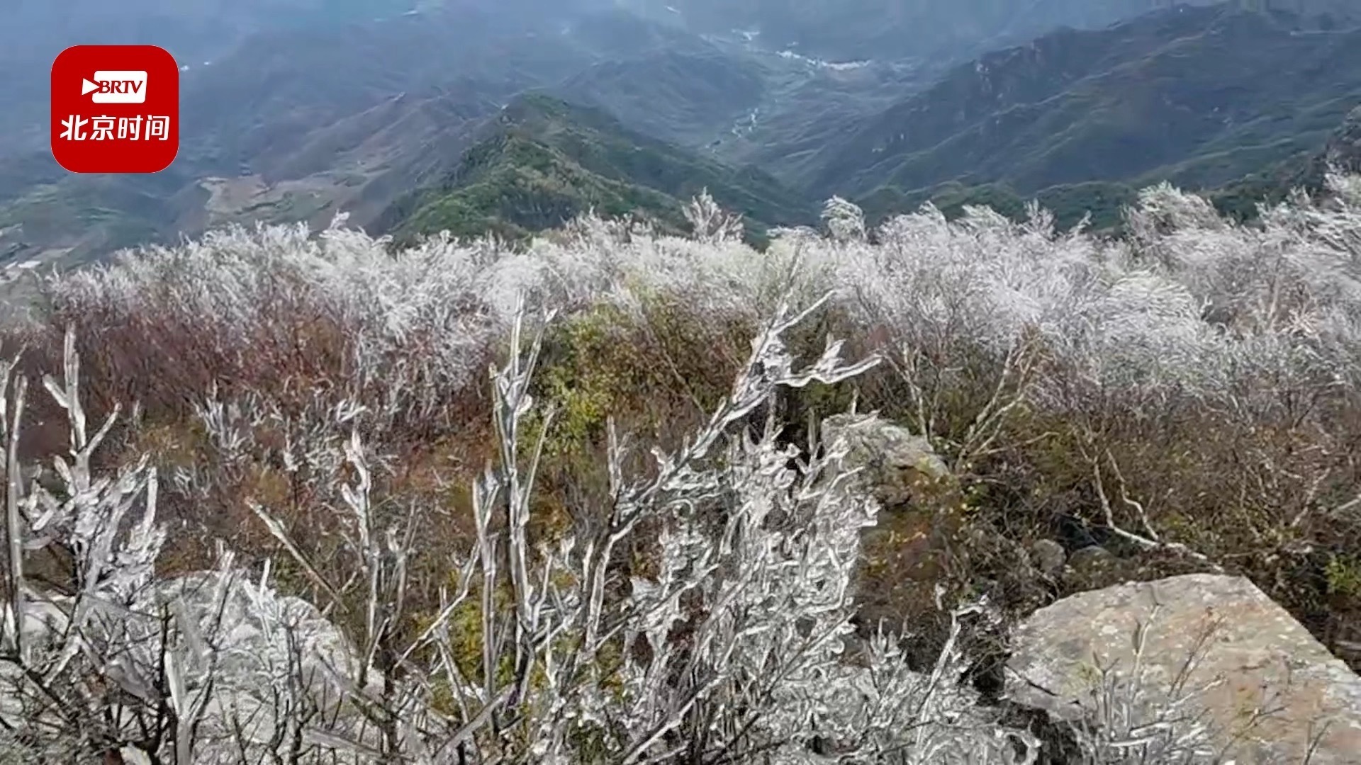 北京百花山一夜之间漫山"盛开"冰挂