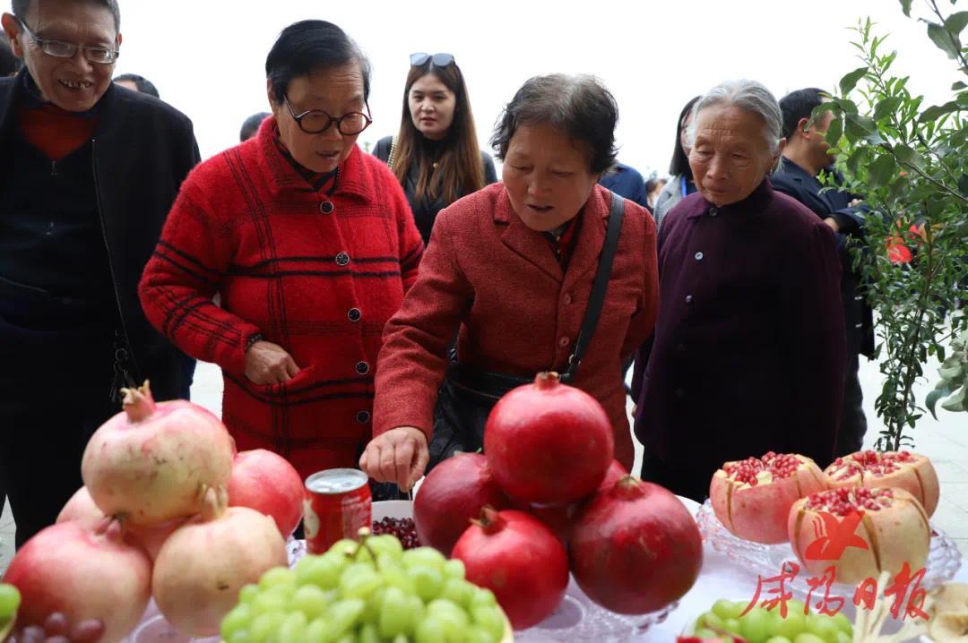 咸阳市花式庆祝2021年中国农民丰收节