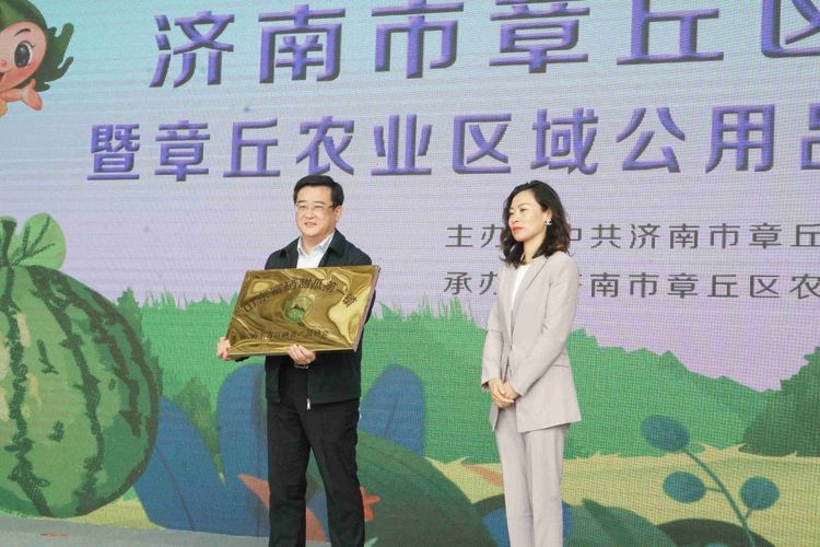 章丘区高官寨街道荣获"山东富硒甜瓜第一镇"称号