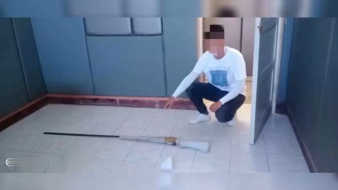 男子从家里翻出土枪,出于好奇开枪打马蜂窝被抓