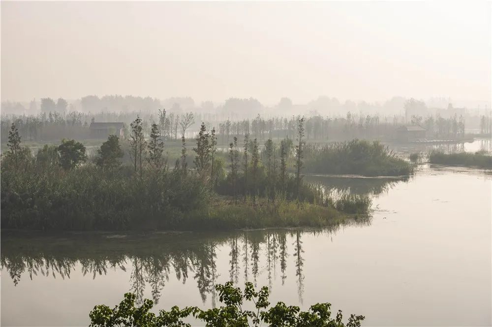 5倍,再现"城里瘦西湖,城郊荒北湖"的美景. 来源:扬州文旅公众号