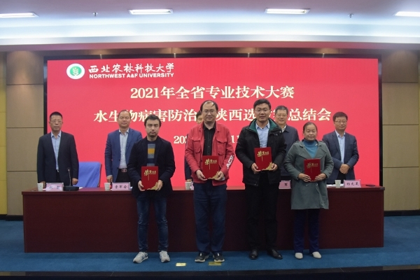 为优秀裁判员颁奖