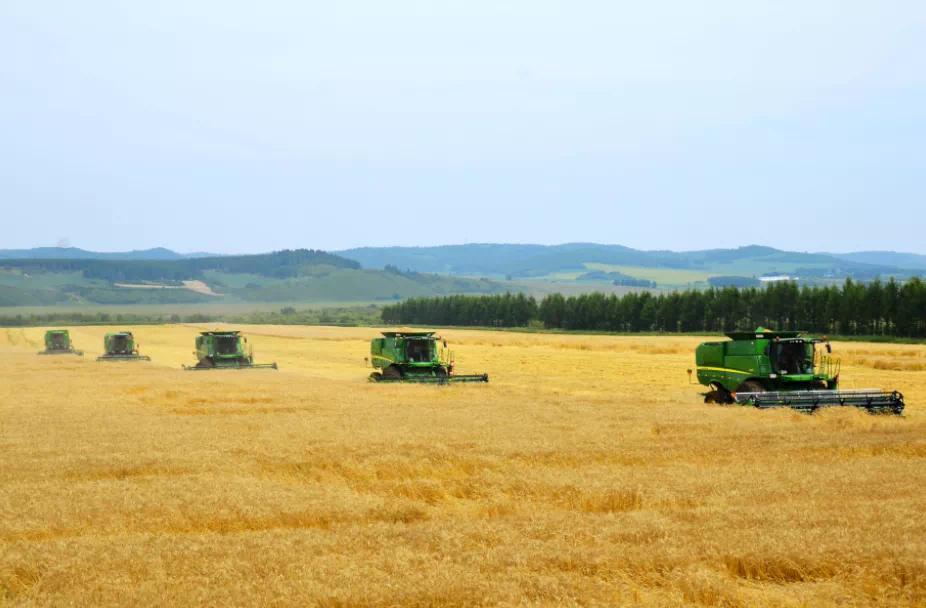 (受访者供图)北大荒农垦集团5月19日完成玉米,大豆等旱田作物播种任务