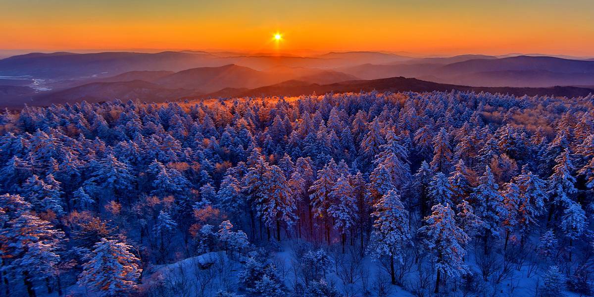 伊春大箐山冰雪森林