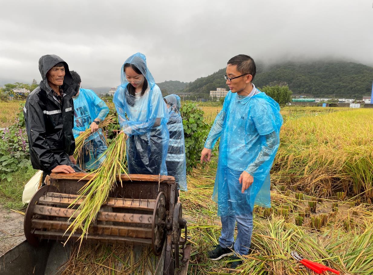 宁波把劳动教育课堂搬到田间地头