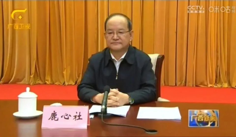 2018年,鹿心社调任广西壮族自治区党委书记,至今年10月卸任.