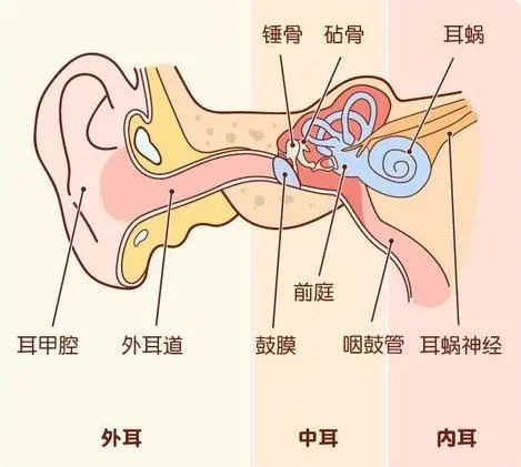 感冒容易引起中耳炎这是为什么成都民生耳鼻喉医院