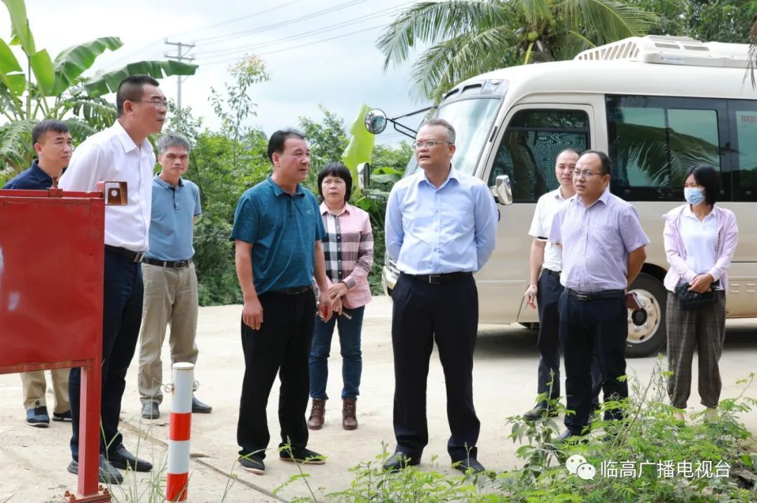 临高县委书记文斌在皇桐临城调研时强调:完善利益联结机制 全面推进