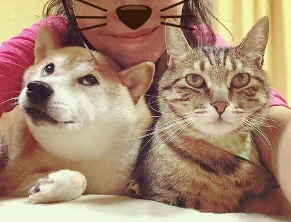 祝我们敬爱的表情包领导者doge16岁生日快乐!