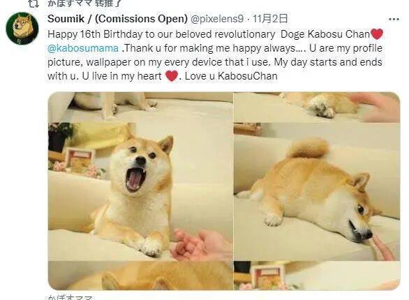 祝我们敬爱的表情包领导者doge16岁生日快乐!