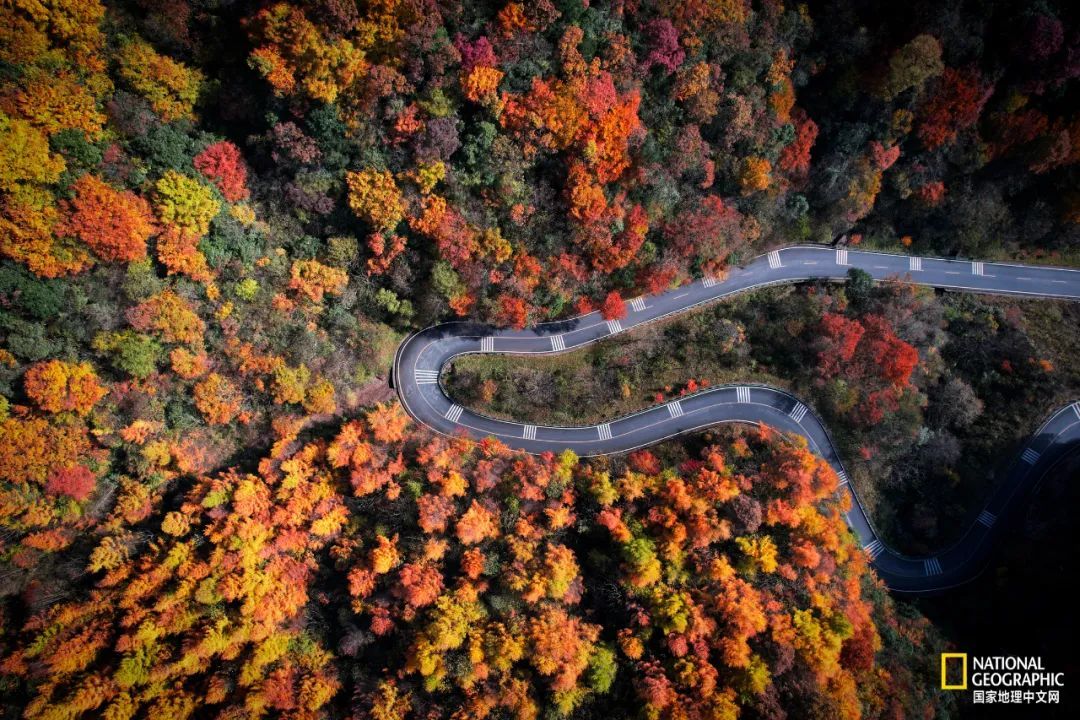 光雾山中国红叶第一山