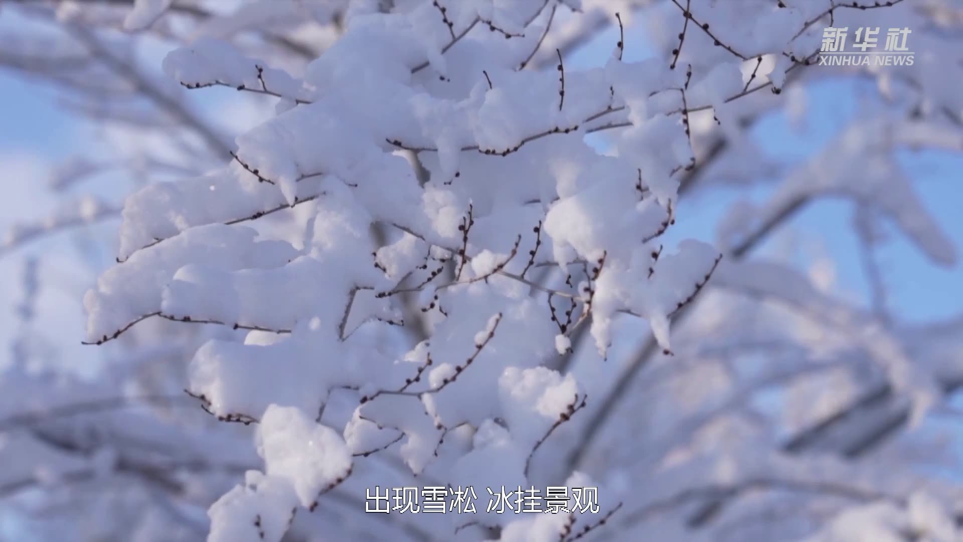 新疆富蕴雪凇冰挂似仙境