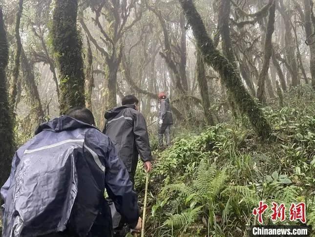 专业人员也失联 云南哀牢山究竟有多凶险?