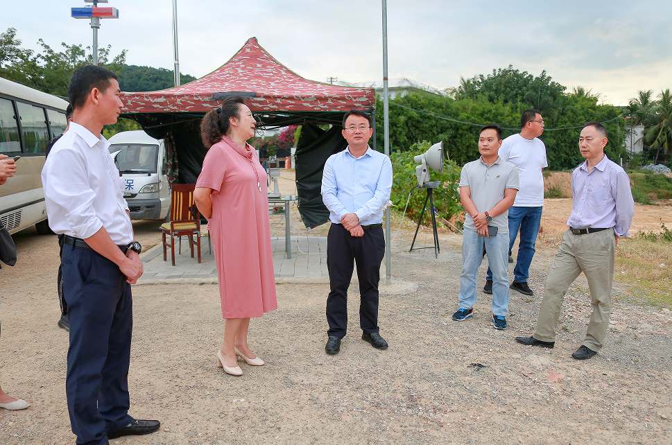 三亚市吉阳区委副书记区政府区长顾浩调研固定资产投资项目投资纳统