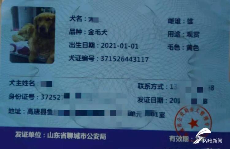 文明养犬聊城高唐发出第一张狗狗身份证