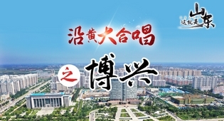 凤观齐鲁2020丨枣庄