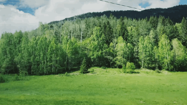 简单一喷让螨虫3分钟消失比太阳暴晒强1万倍堪比大牌的香薰味