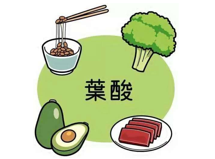 错过了牛宝宝定坤丹陪您努力要个生龙活虎的虎宝宝