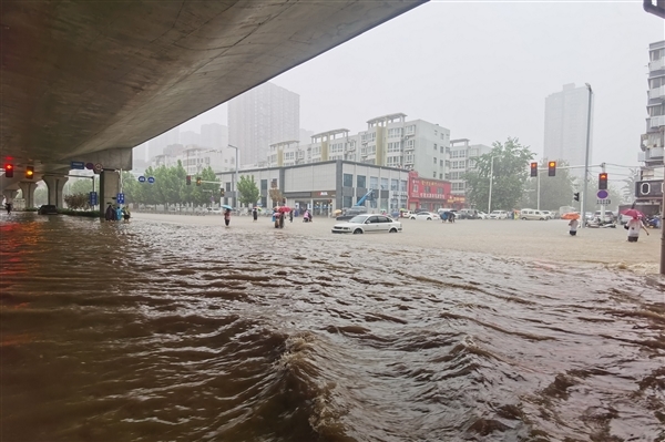 郑州一条小鱼被暴雨冲进路灯半年多了还活着