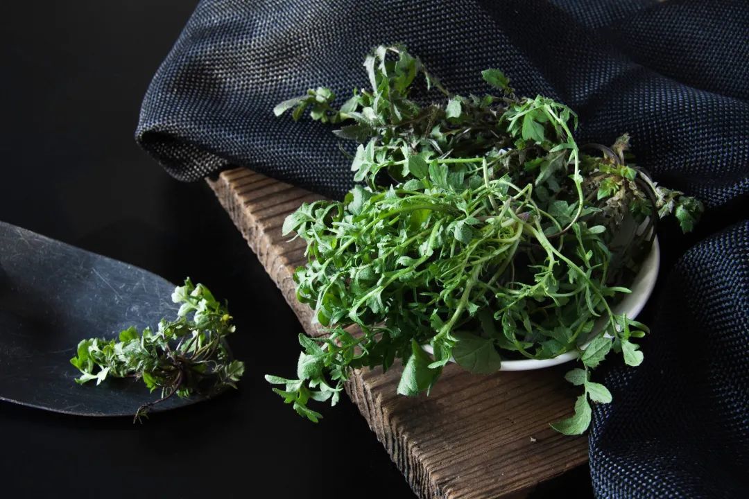 春菜丨金梧桐野菜图鉴